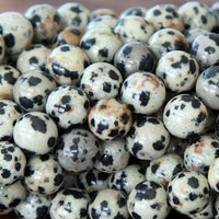 6mm Dalmatian Beads Dalmatian Jasper Beads | Fashion Jewellery Outlet | Fashion Jewellery Outlet